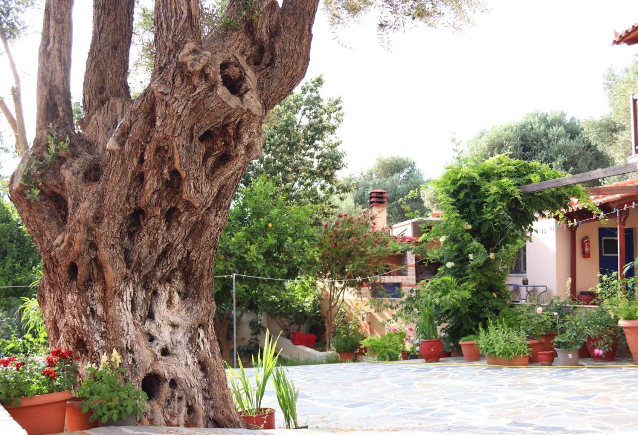 Panorama Apartments Μαραθόκαμπος Εξωτερικό φωτογραφία